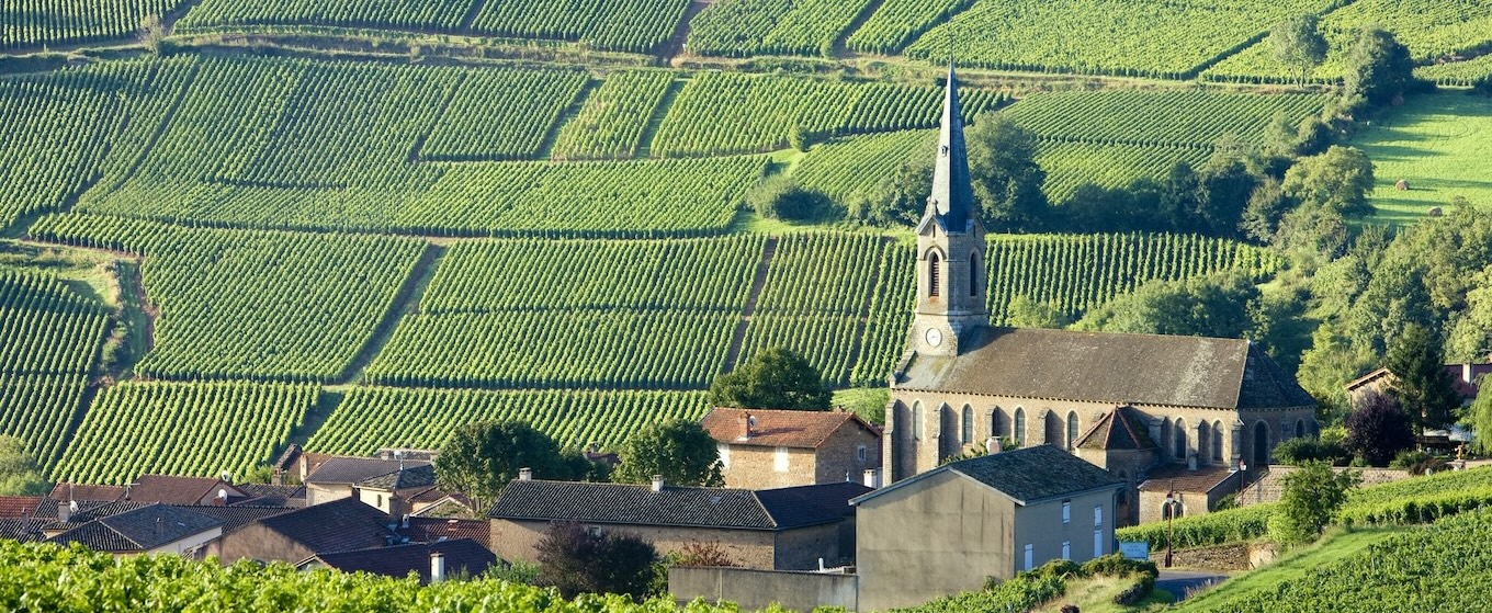 Burgundy Sidecar Tours