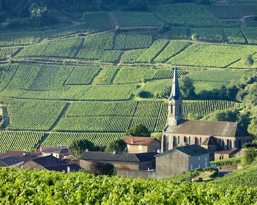 Burgundy Sidecar tour