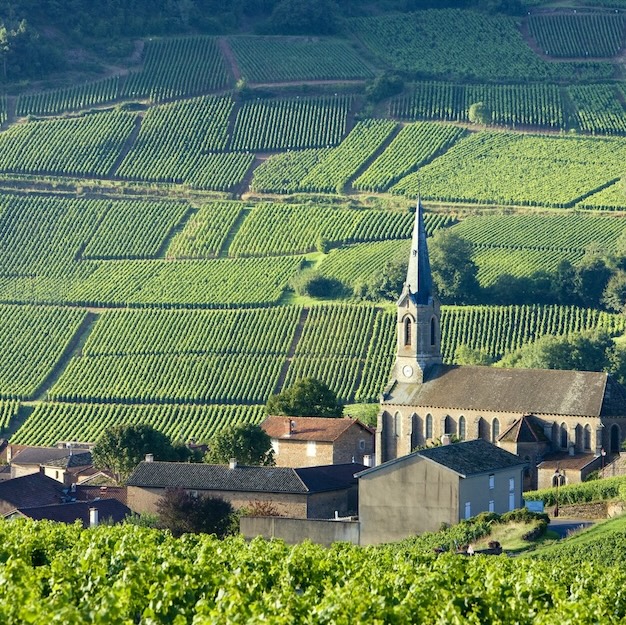 Burgundy sidecar tour