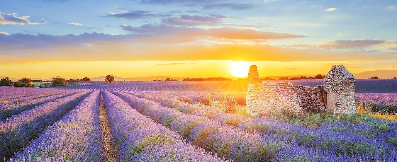 Provence sidecar tours