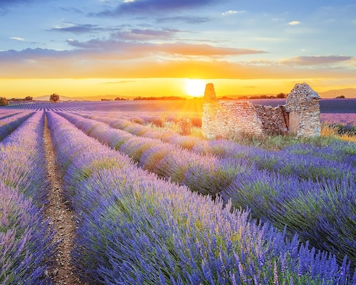 Provence sidecar tours provence sidecar tour